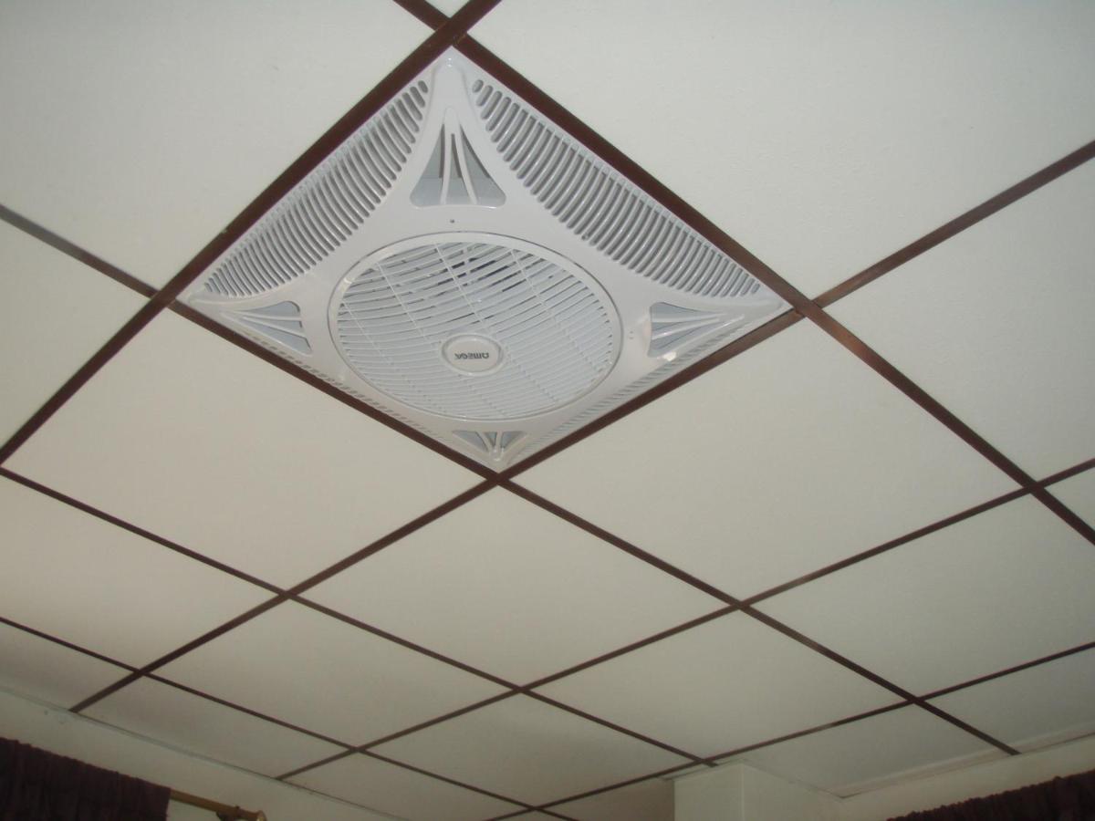טנה Hostal Limoncocha מראה חיצוני תמונה