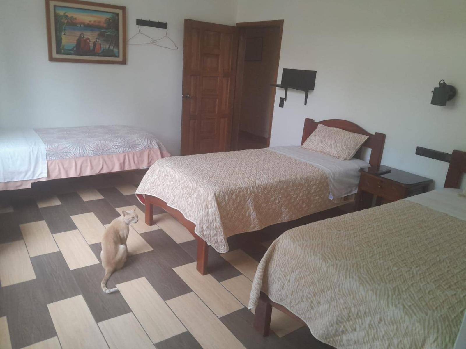 טנה Hostal Limoncocha מראה חיצוני תמונה