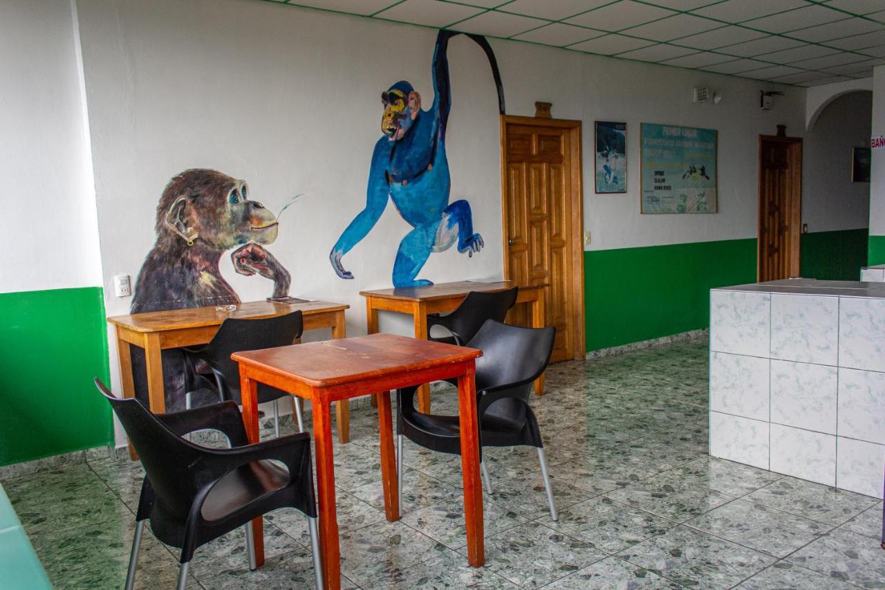 טנה Hostal Limoncocha מראה חיצוני תמונה