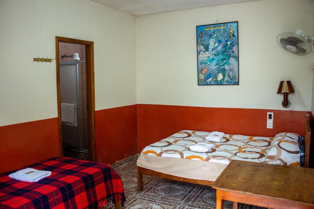 טנה Hostal Limoncocha מראה חיצוני תמונה